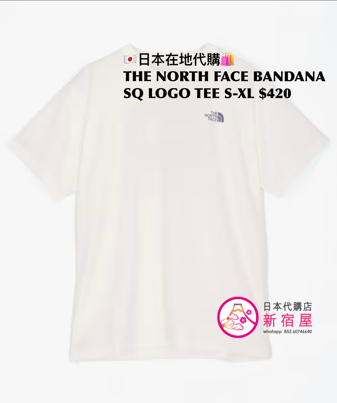 THE NORTH FACE BANDANA SQUARE LOGO T-SHIRT