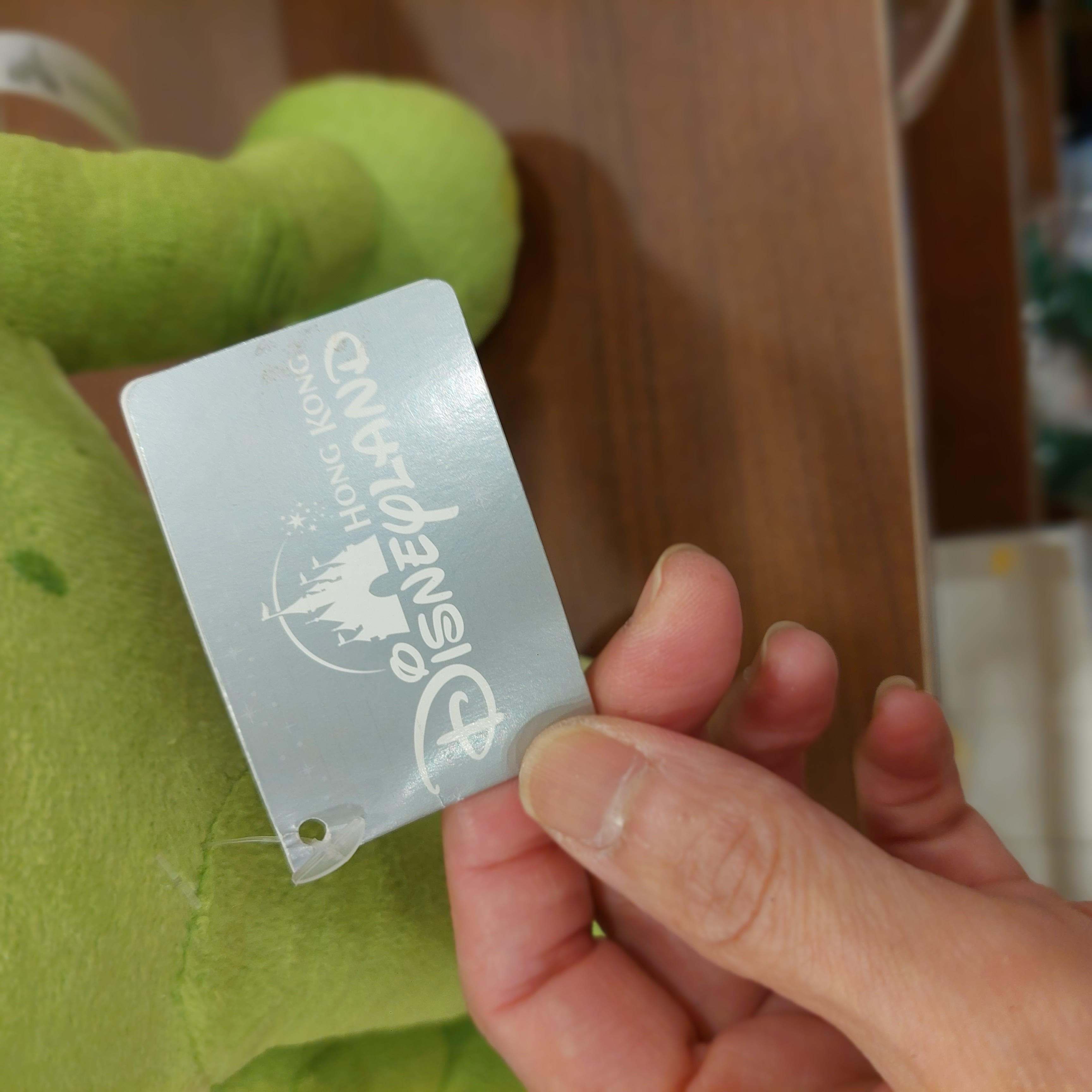 香港廸士尼 恐龍大時代  ARLO The Good Dinosaur Green 19“Tall 23“ 恐龍公仔