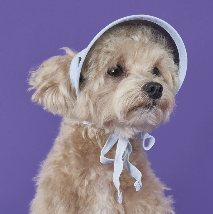 *Super Pet🇰🇷UV防曬寵物太陽帽 (DG017)