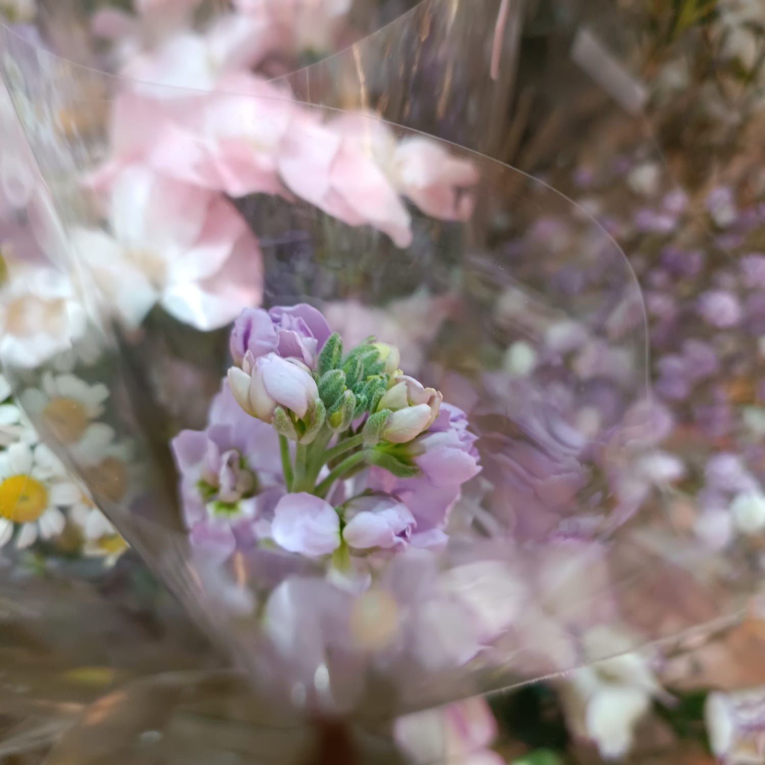 真花 小花束HYU023