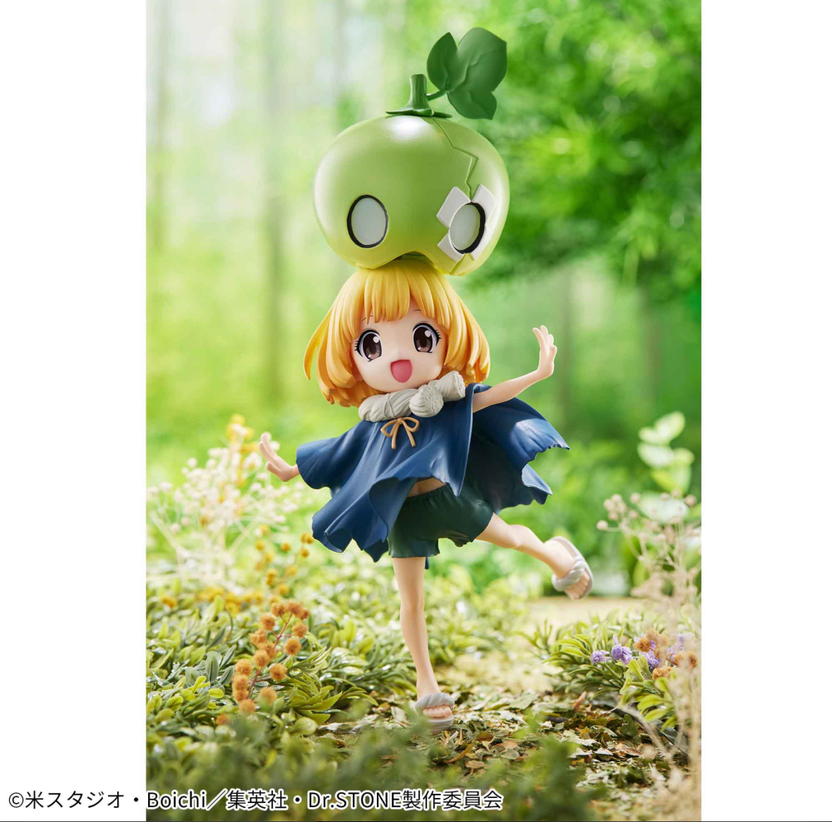 現貨 Bandai 景品 Dr stone 新石紀 西瓜