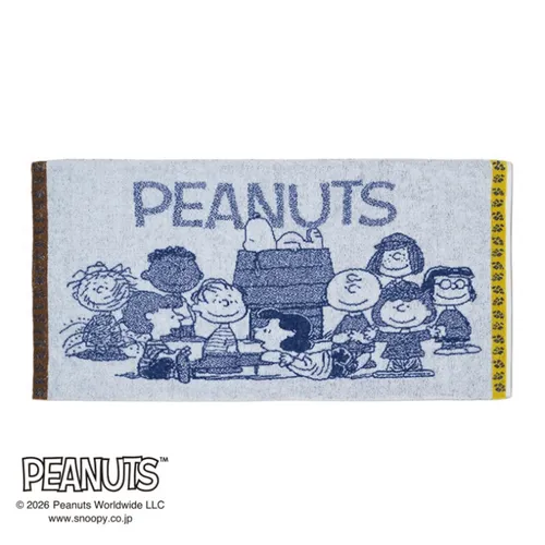 日本直送~新款Snoopy毛巾枕頭套 藍黃色