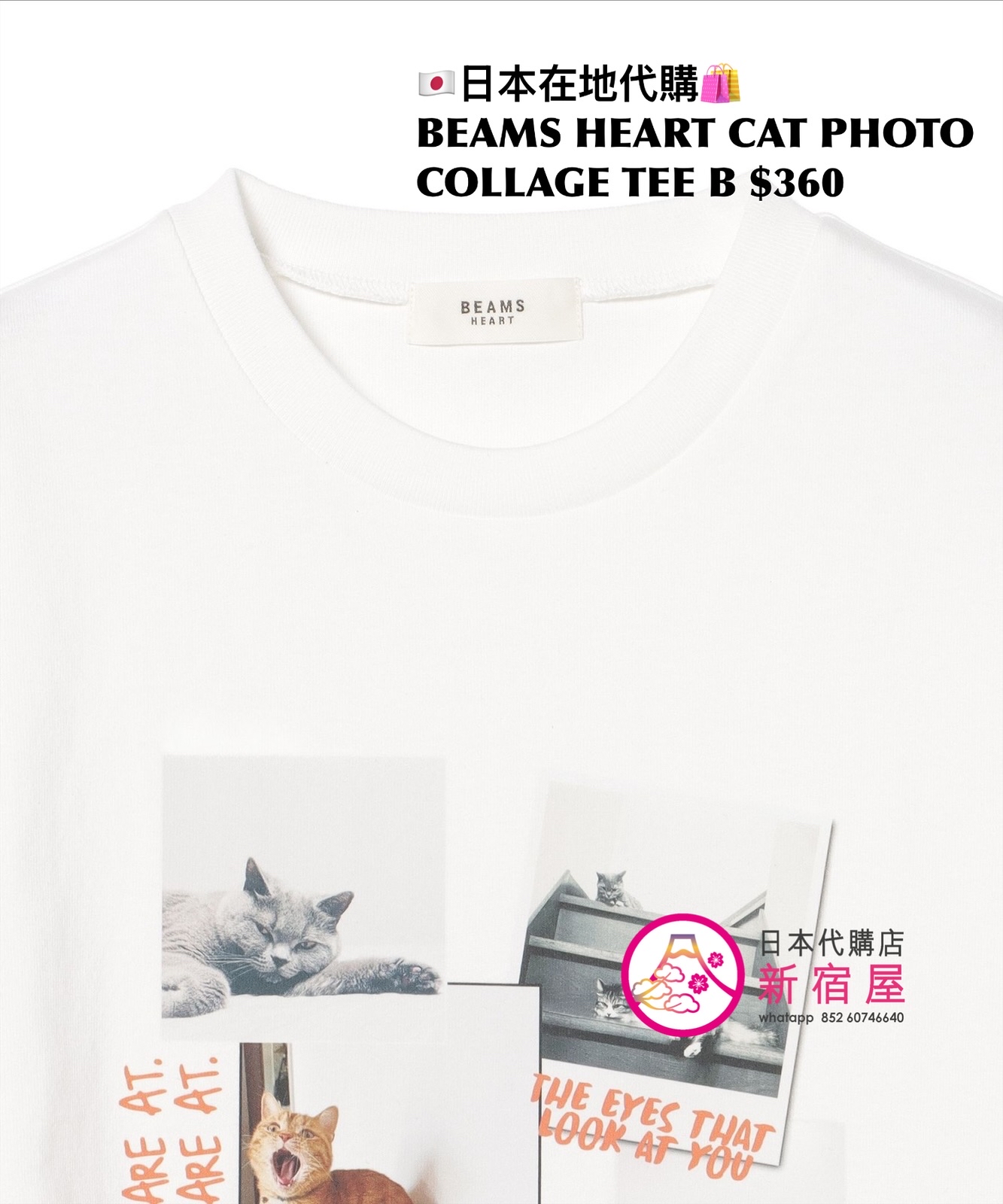 BEAMS HEART CAT PHOTO COLLAGE T-SHIRT