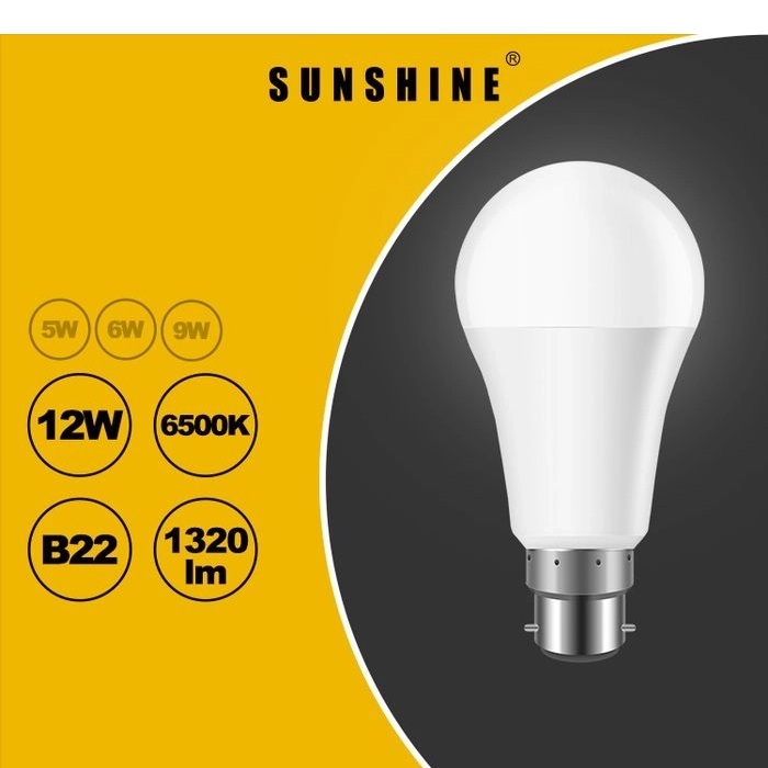 LGT-12E/(E27)(B22)/LED12W黃/白光球膽
