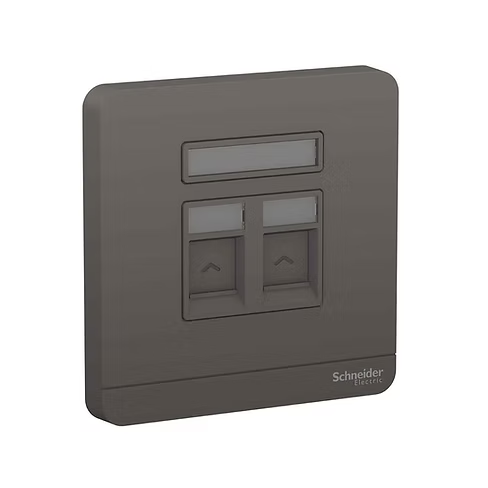 施耐德 AvatarOn 石墨灰 孖位 CAT3電話插座