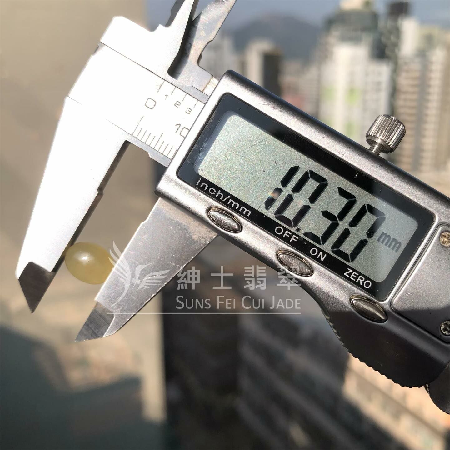 莫西沙冰檸檬黃蛋面