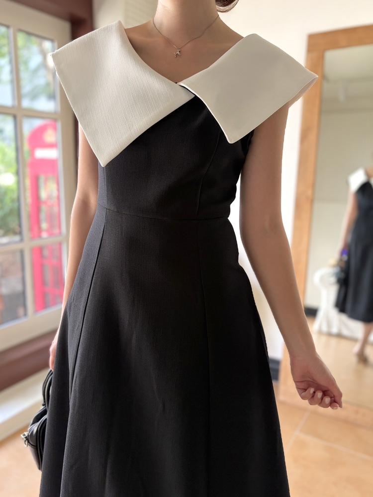 Celine Contrast Collar Dress