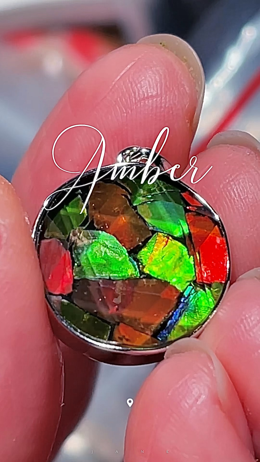 斑彩螺 ammonite 加拿大