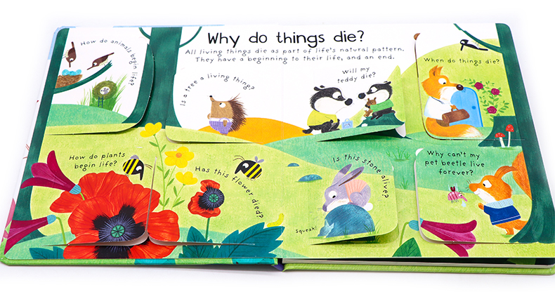 Usborne First Questions and Answers系列翻翻書Why Do Things Die 為什麼萬物會消亡