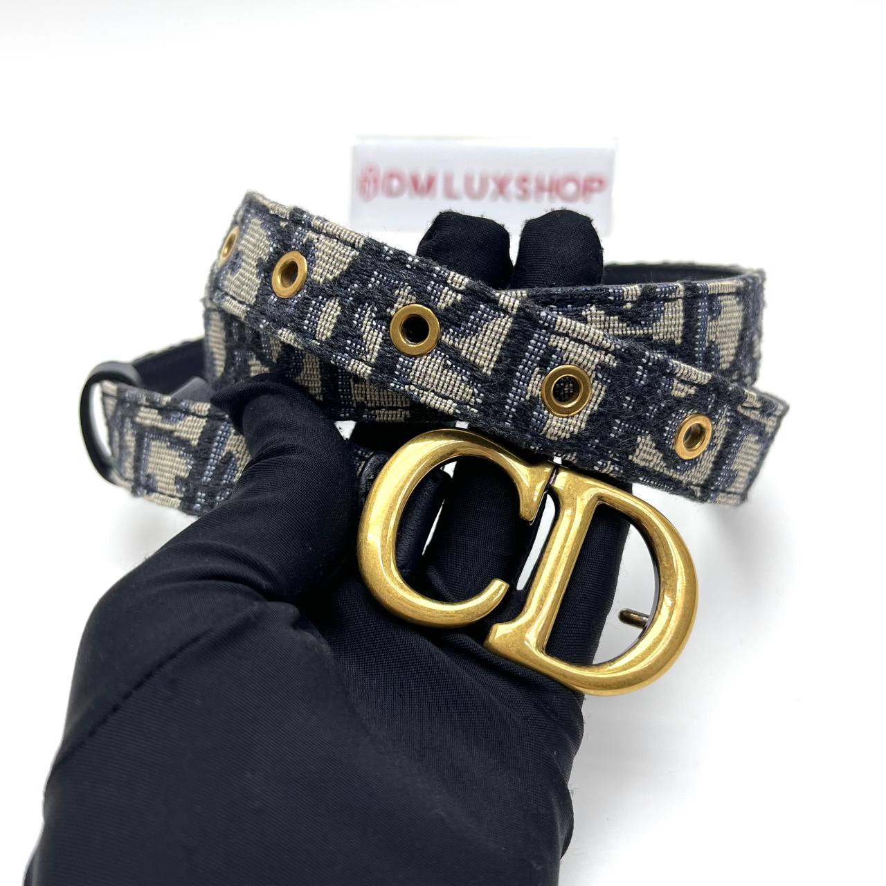 Dior Oblique Belt