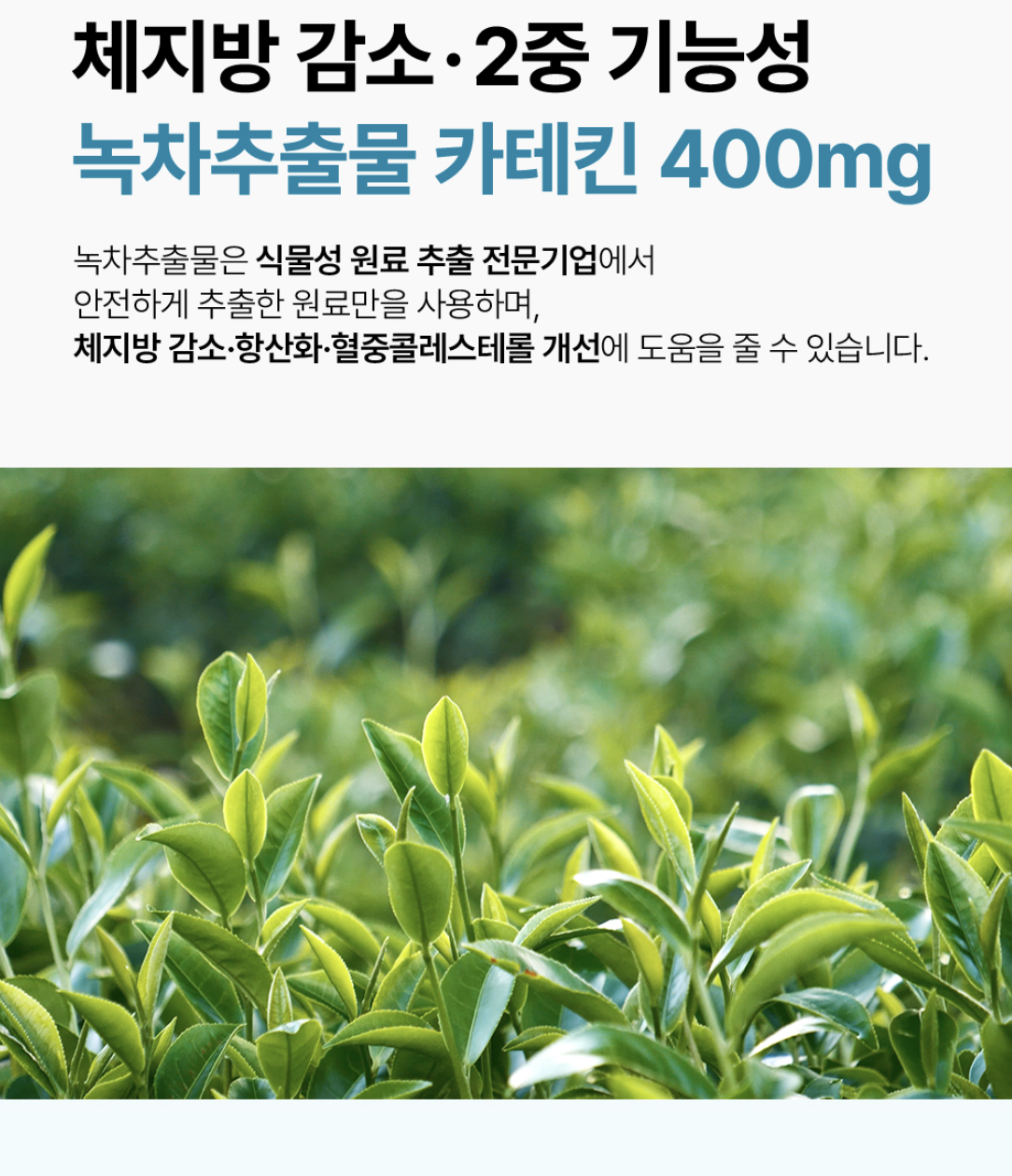 碳水剋星｜韓國 Health Helper Max Cut 綠茶萃取 體脂管理膠囊｜Pro Chrome