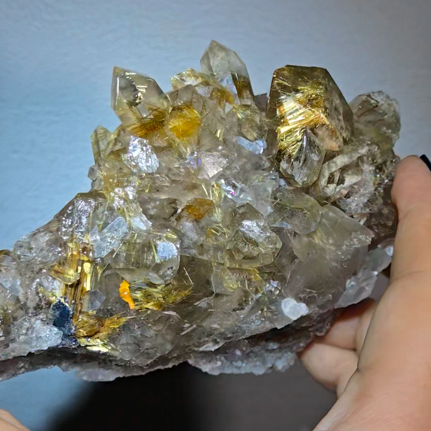 High-grade golden starburst rutiles on black hematite in quartz - RT1434