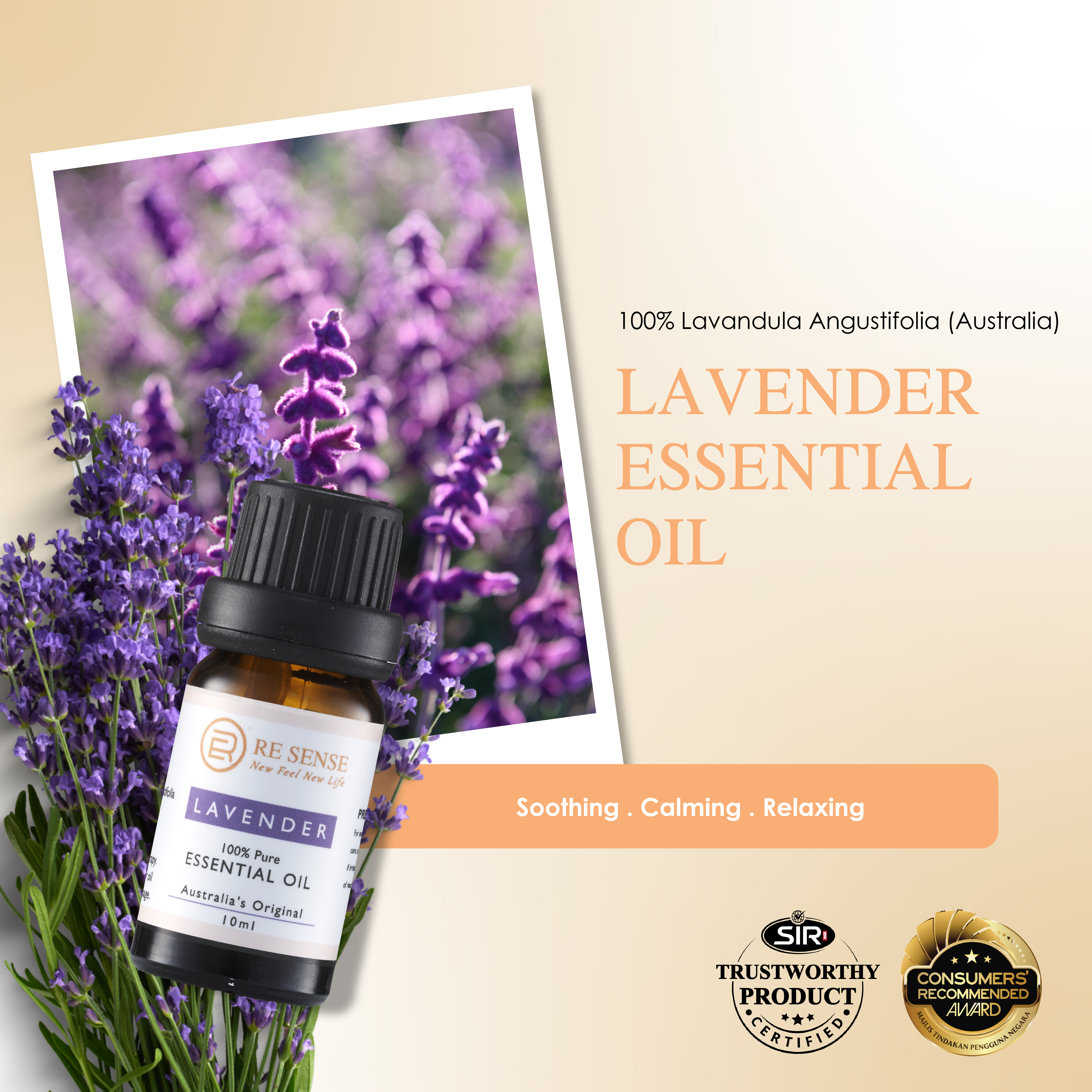 Lavender Essential Oil (10ml)