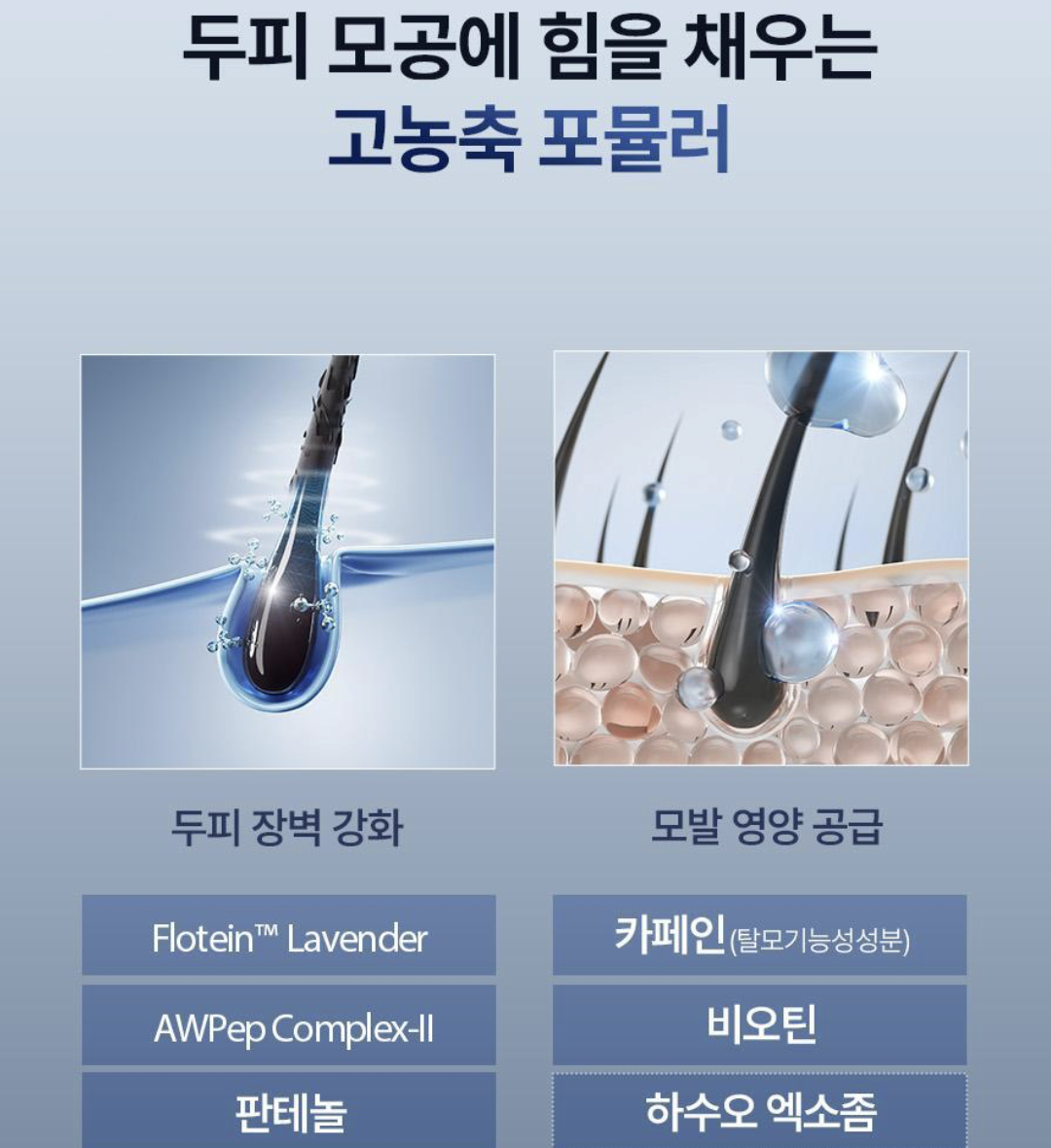 韓國 Epais 強韌髮根 頭皮精華 150ml ｜Scalp Boosting Ampoule 