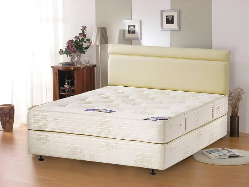 VONO富豪 適脊型Back Supporter