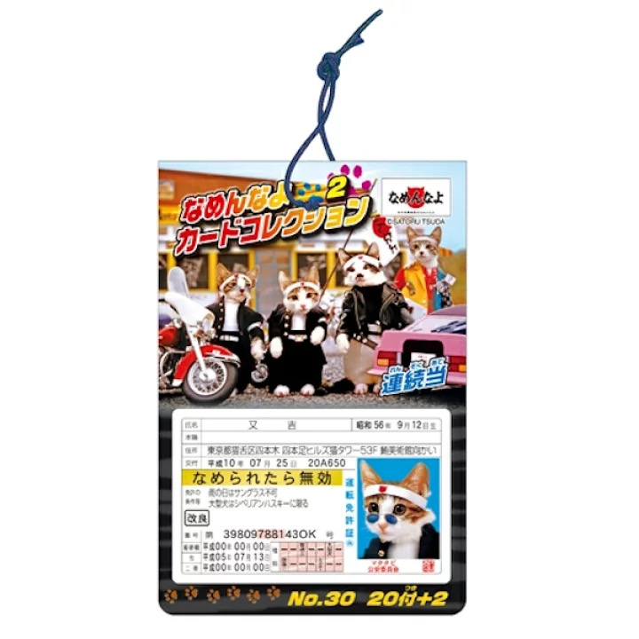 毛毛身分證明抽抽樂