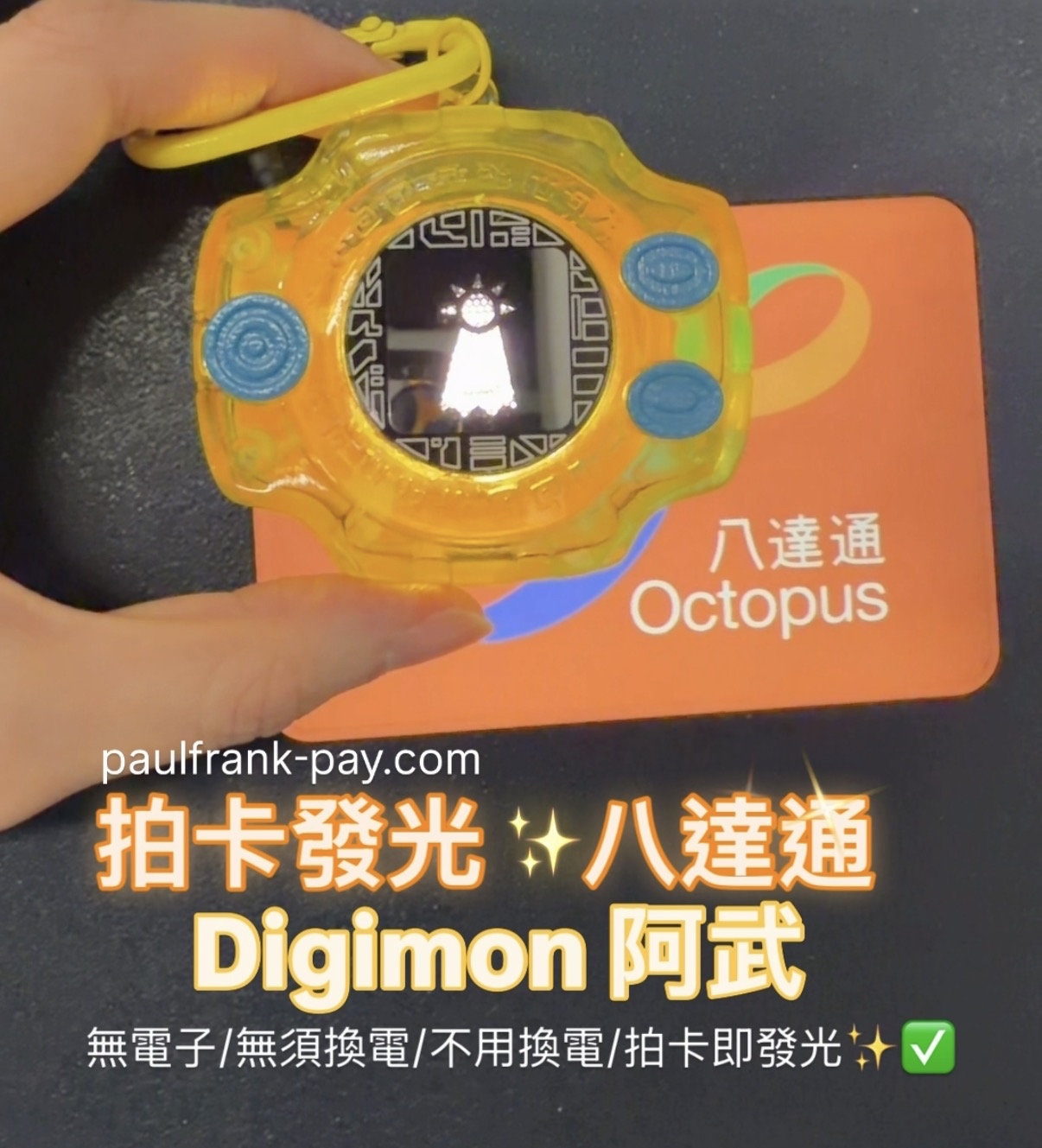 數碼暴龍機Digimon拍卡發光八達通