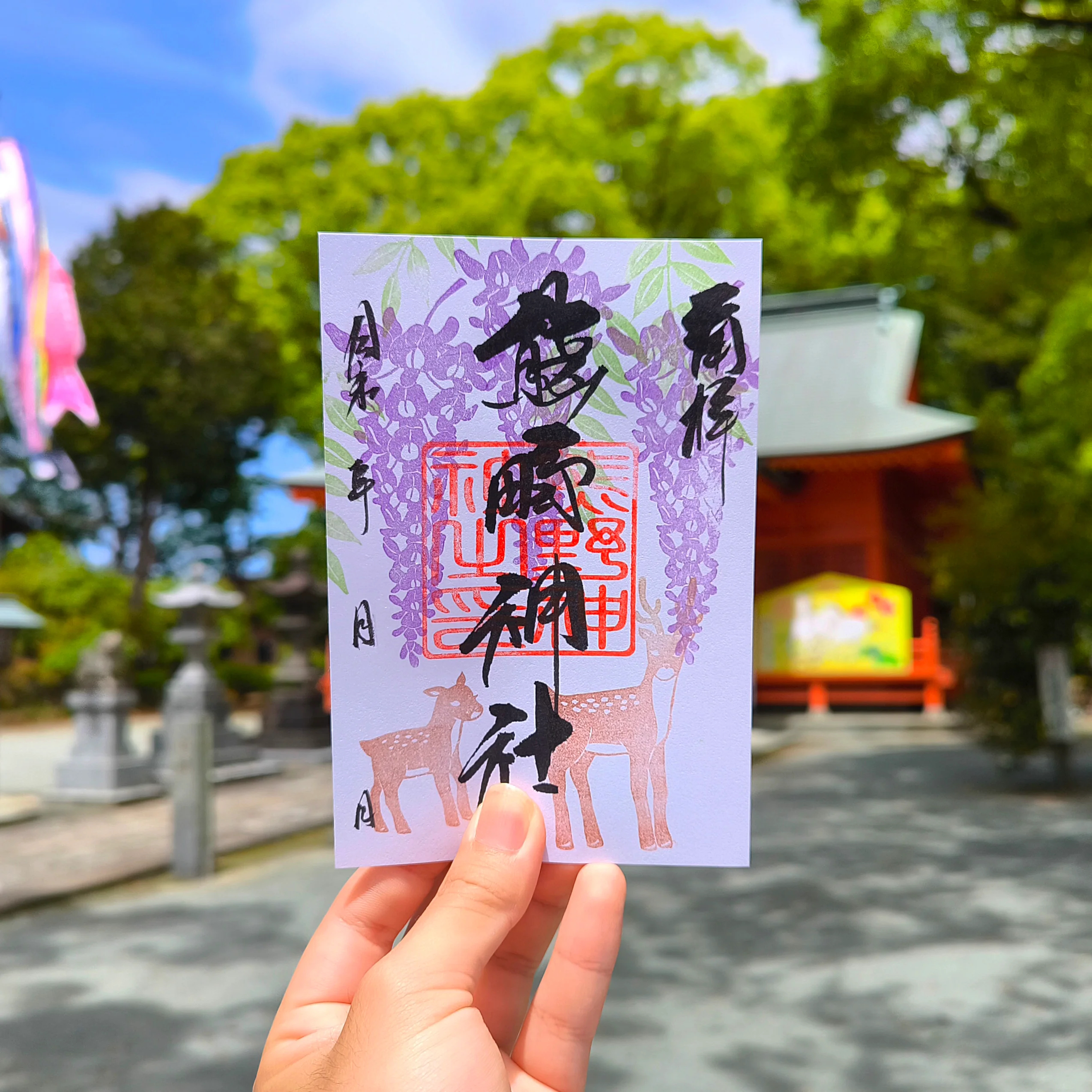 日本 大牟田熊野神社 5月紫藤花春鹿款御朱印