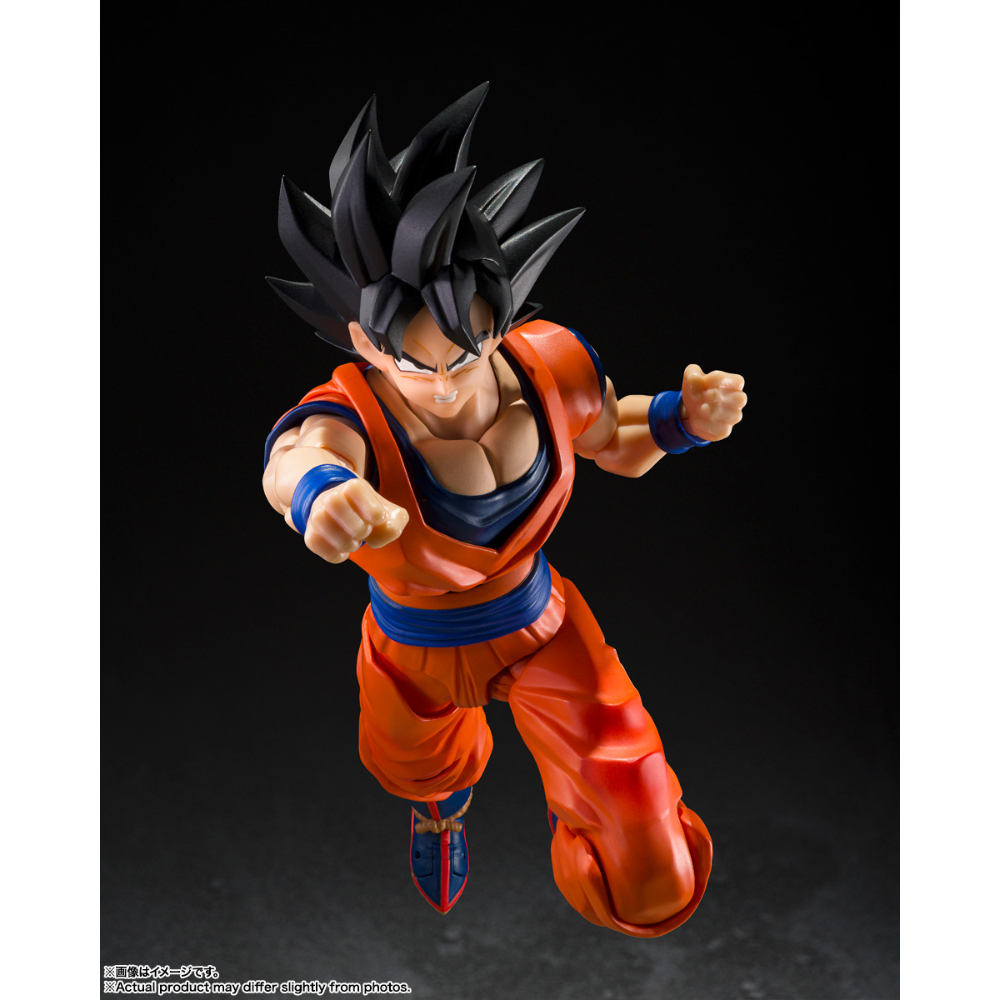 INCOMING SHF Dragon Ball Son Goku A Kind Hearted Saiyan