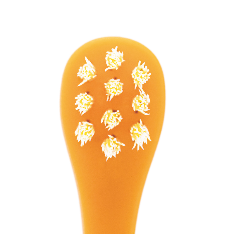 Easy to brush dog🇯🇵螺旋方形刷毛寵物牙刷 (迷你款)