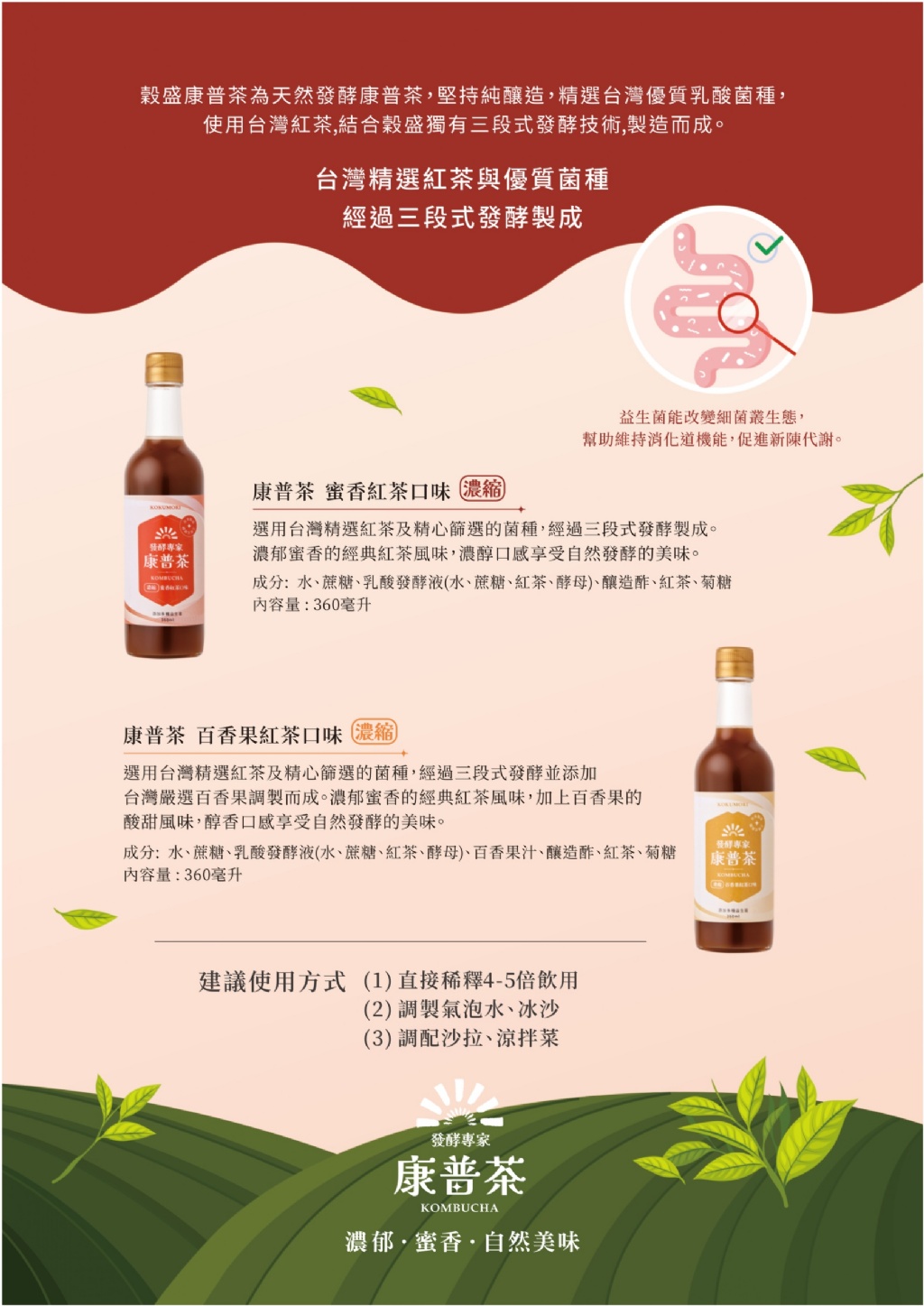 YW260742 - 穀盛 濃縮康普茶系列 360ml