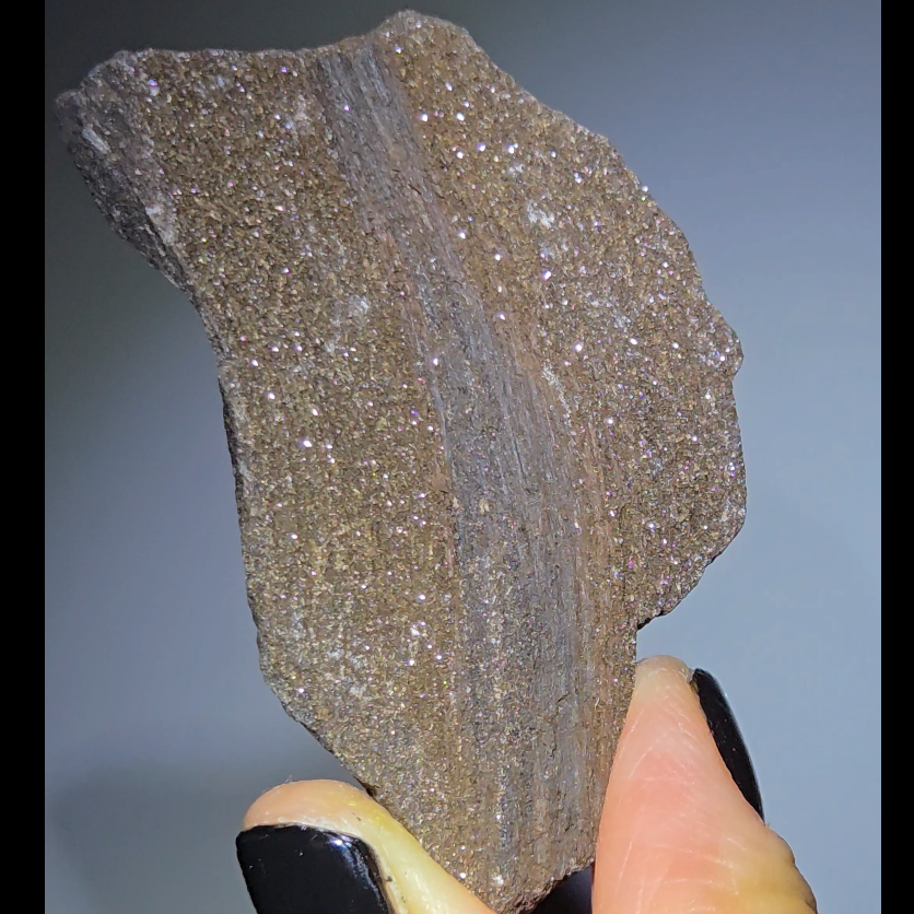 Opalescent wood from Germany - WD18