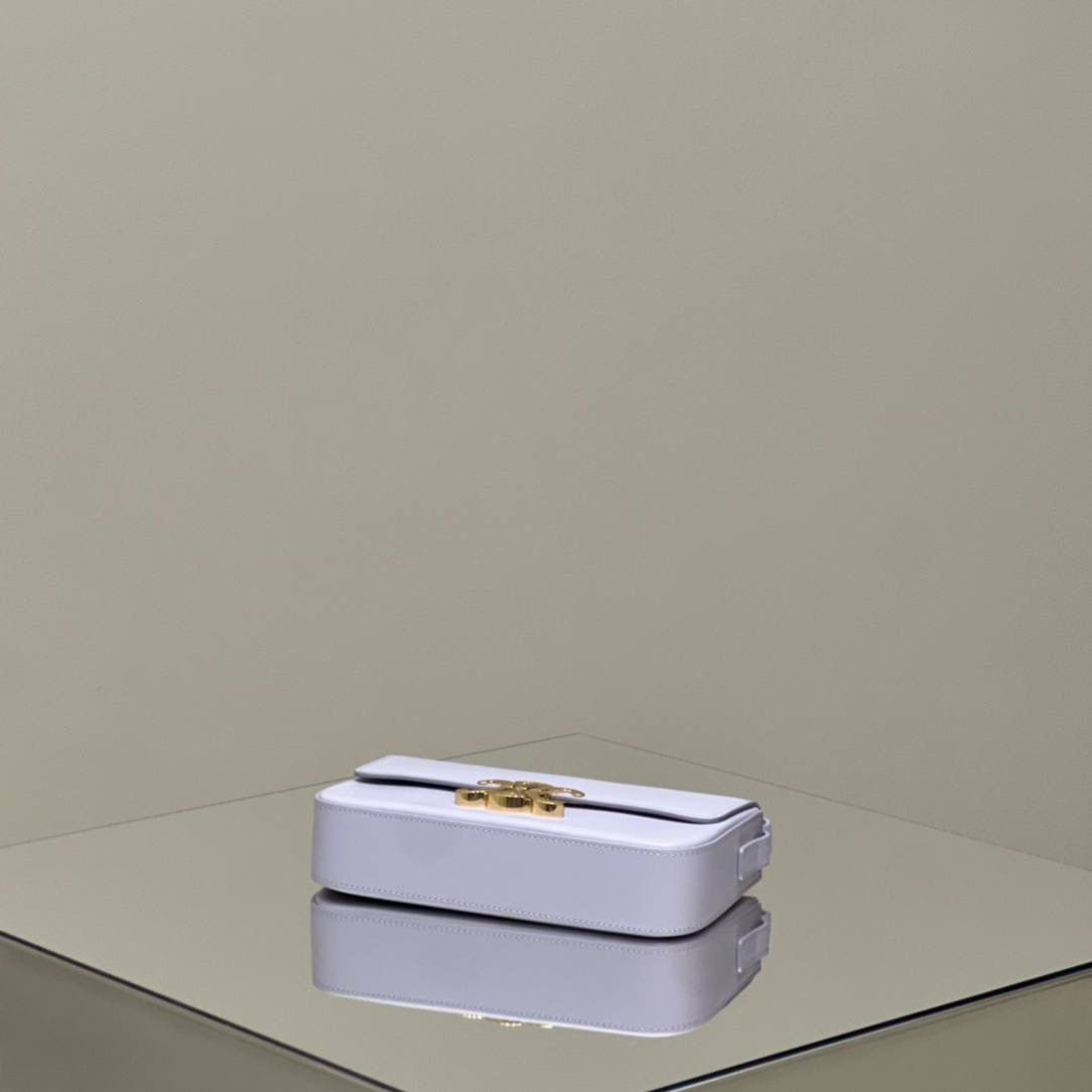 🔥大货实拍图 𝗖𝗘𝗟𝗜𝗡𝗘 ♥ 𝗧𝗥𝗜𝗢𝗠𝗣𝗛𝗘 𝗦𝗛𝗢𝗨𝗟𝗗𝗘𝗥 𝗕𝗔𝗚 型号：194143 尺寸：20*10*4cm