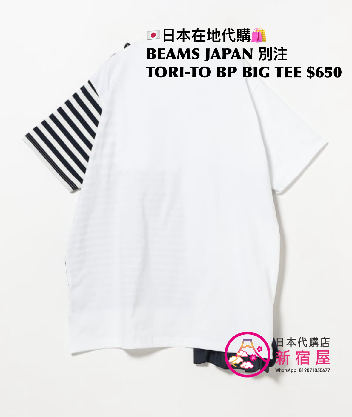 BEAMS JAPAN 別注 TORI-TO BORDERED PANEL BIG T-SHIRT