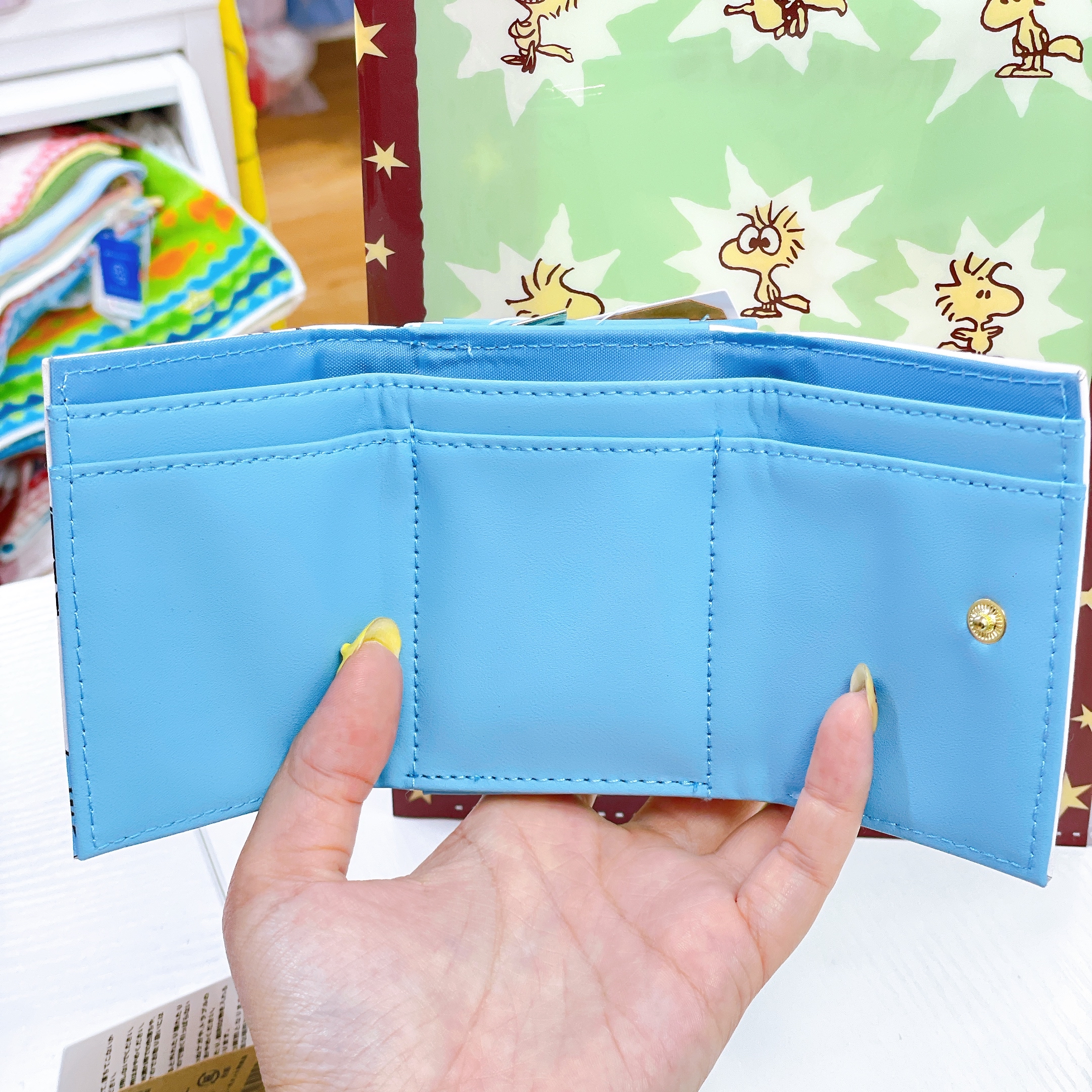 日本直送Snoopy Woodstock 新款文具系列眼鏡盒卡套File拉鏈袋環保袋