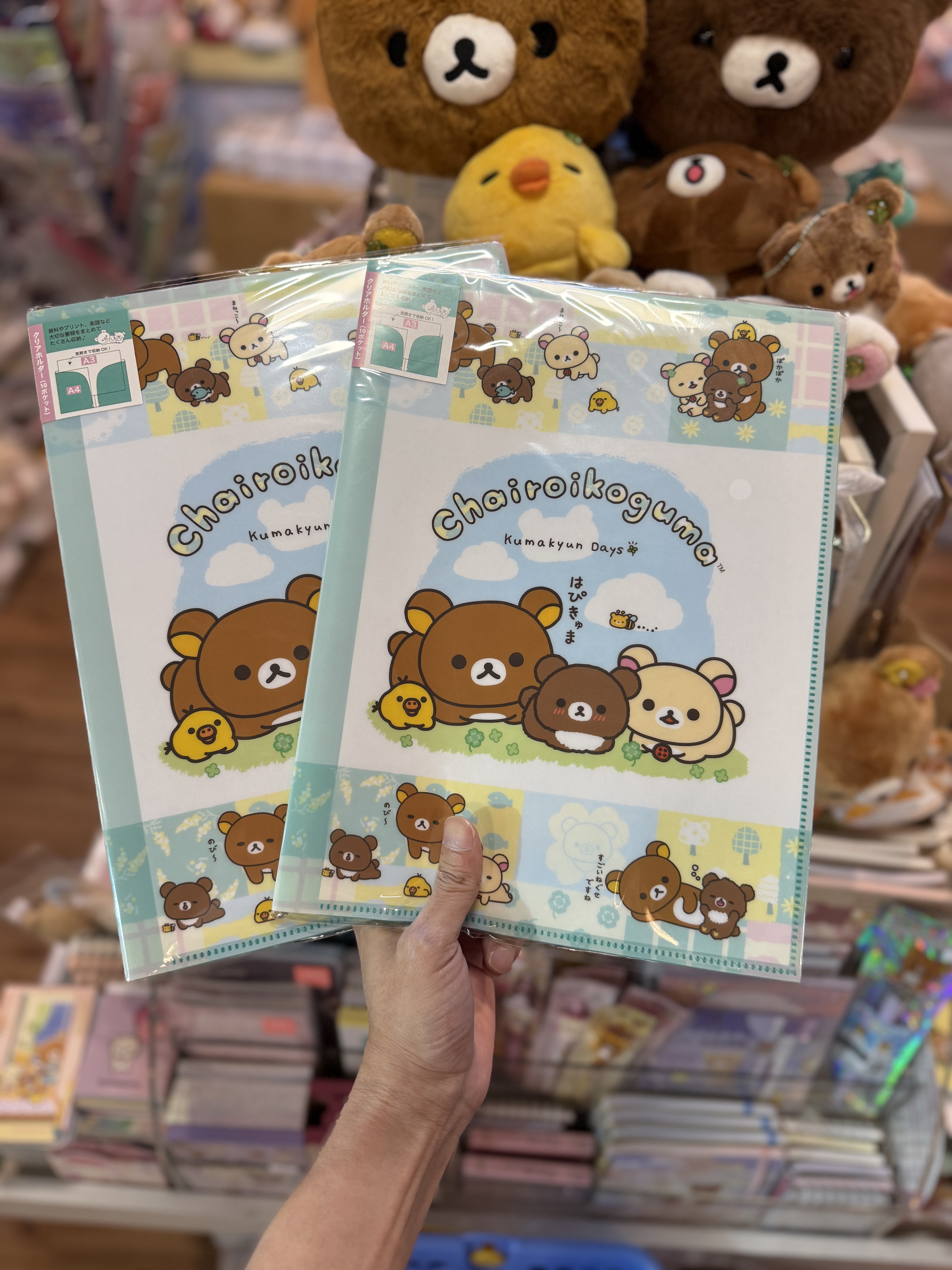 《現貨》全新小熊10週年紀念四葉草系列A3/A4分頁file