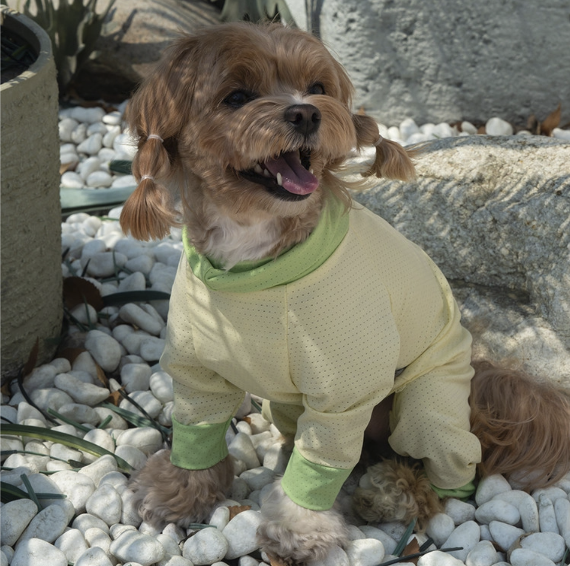 *SuperPet🇰🇷 狗狗全方位防護涼感連身衣(DG414)