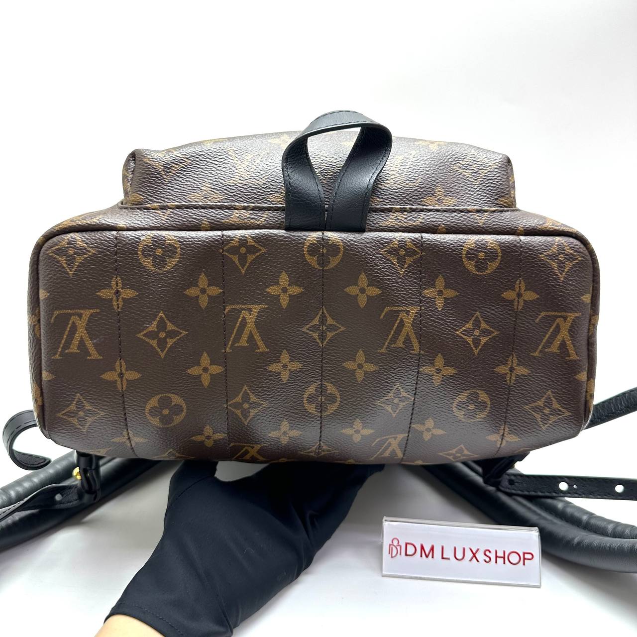 LV Monogram Palm Springs Backpack PM GHW