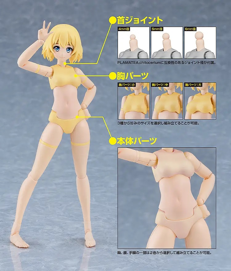 PLAMATEA Muse Body: Ichika B Type