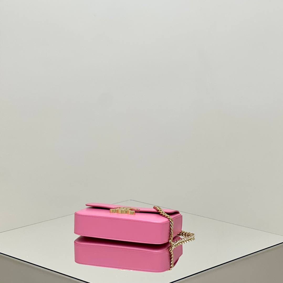 🔥大货实拍图 𝗖𝗘𝗟𝗜𝗡𝗘 ♥ 𝗧𝗥𝗜𝗢𝗠𝗣𝗛𝗘链条腋下包 型号：197993 尺寸：20.5*11.5*4cm