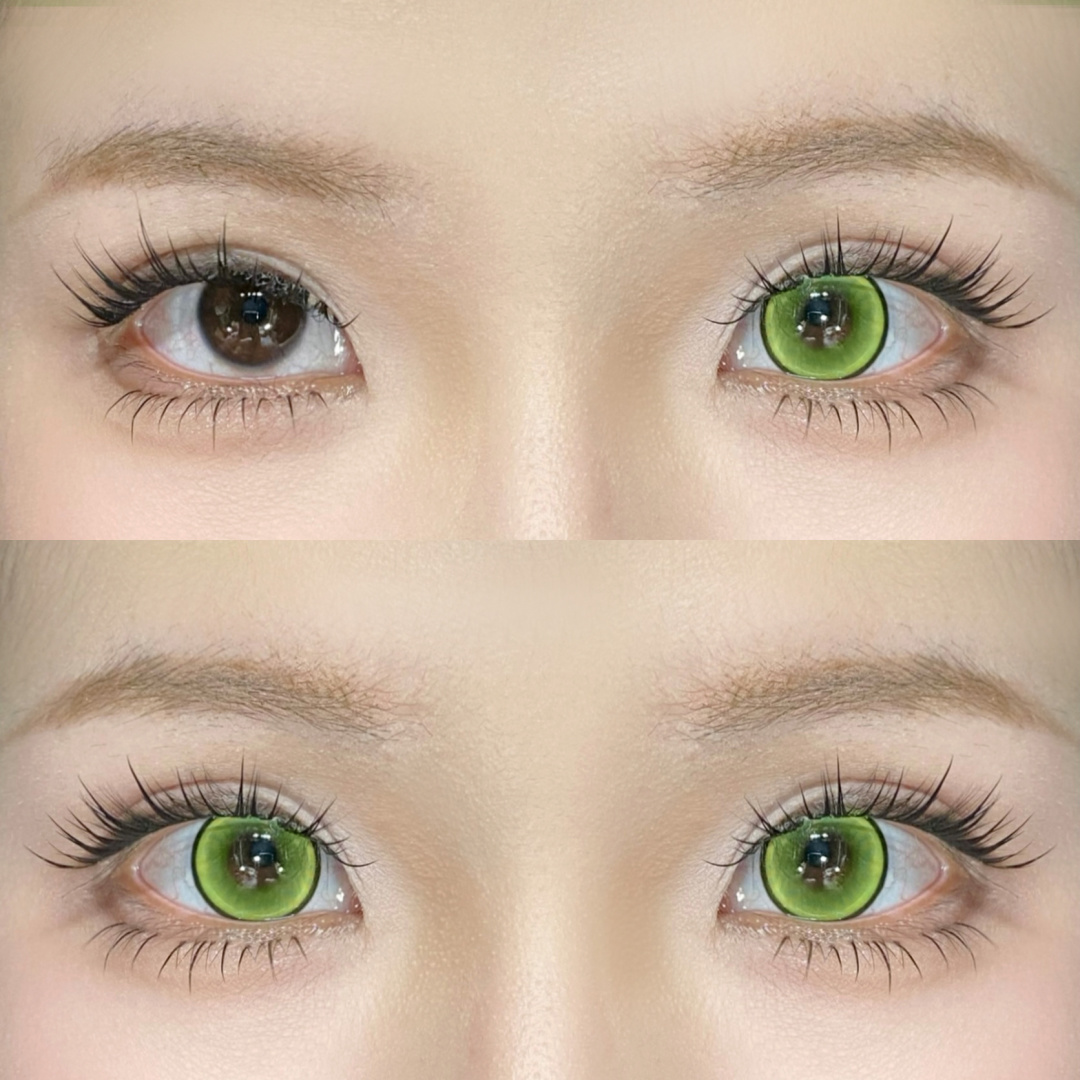 Dgugulens 日拋 波崽糕系列