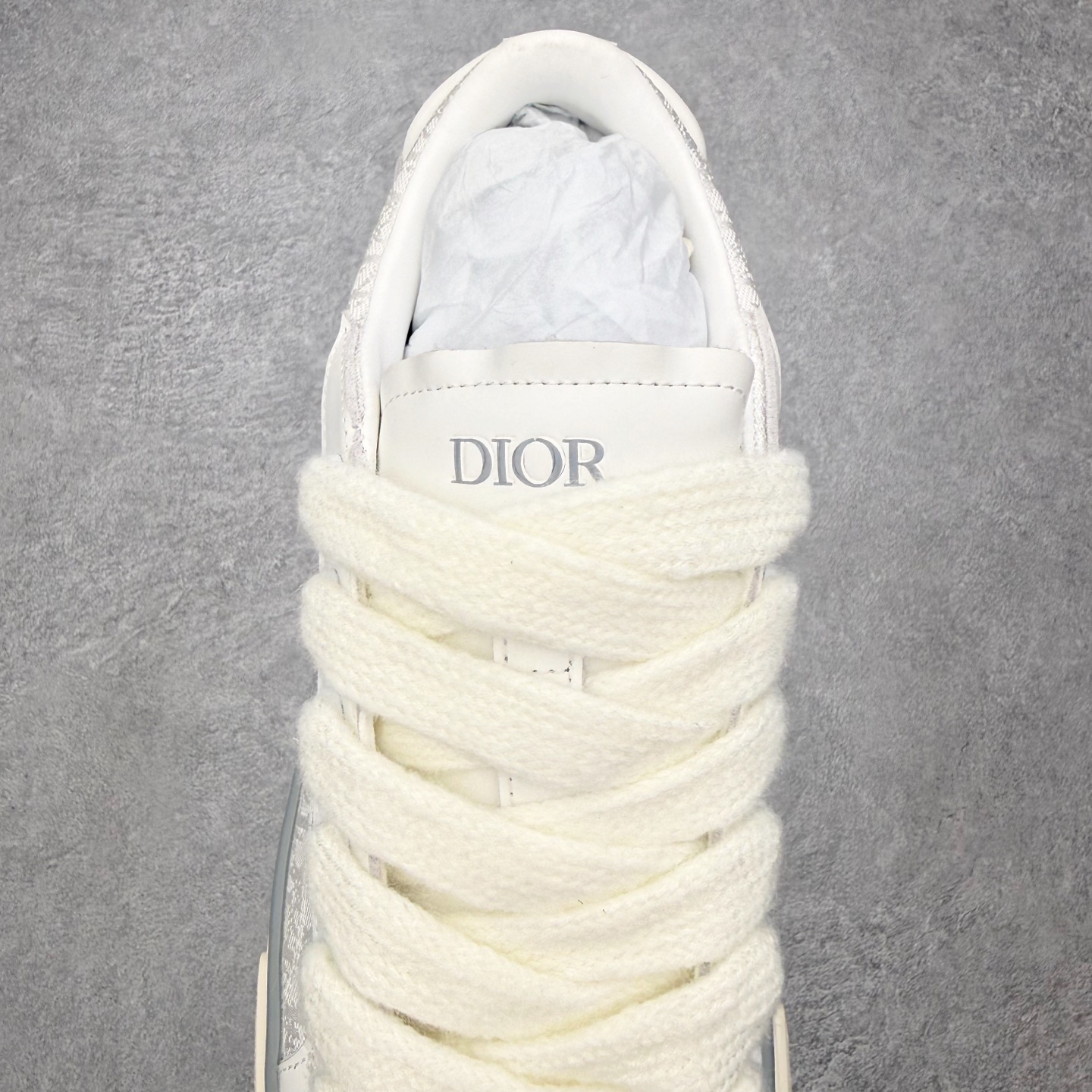 Dior B33