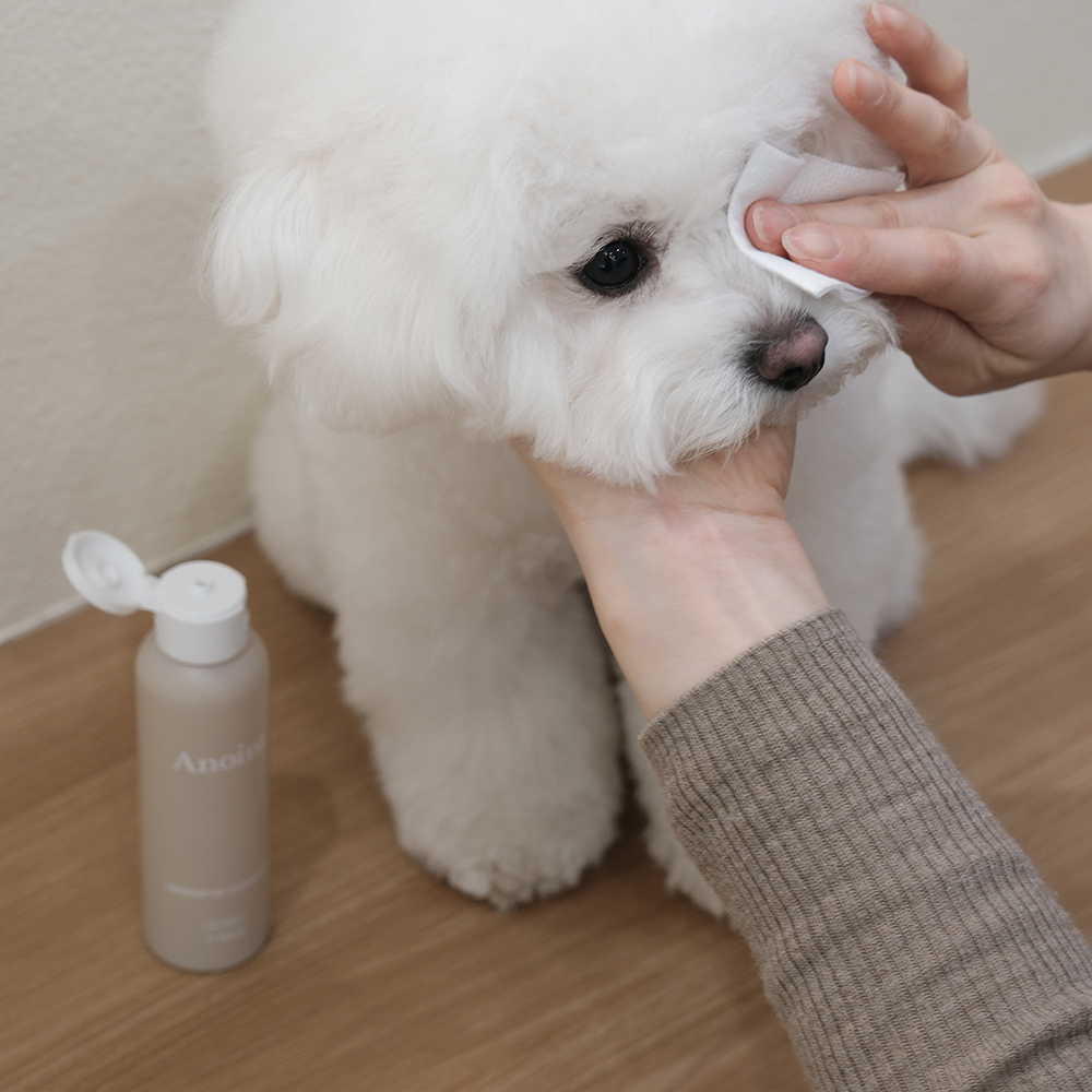 韓國 Anoint | 眼下淚痕清潔液 Undereye Cleanser 30ml