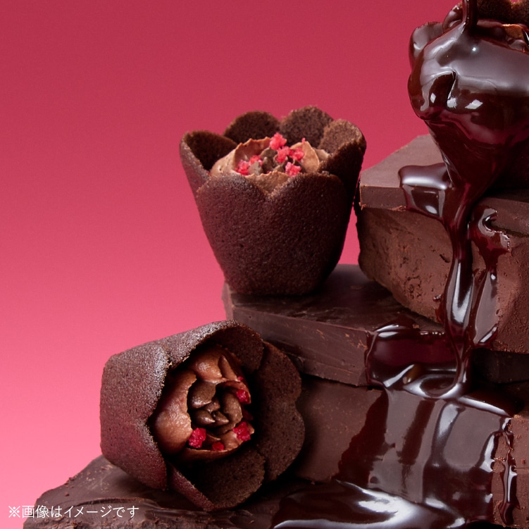 Tulip Rose 朱古力