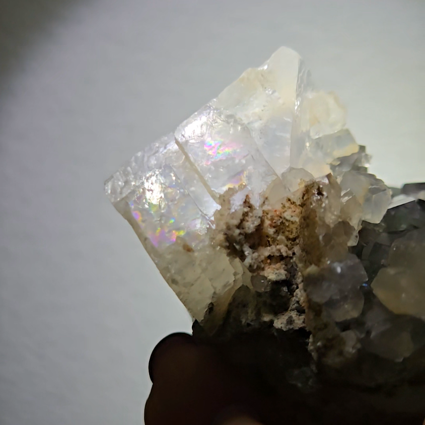 Cubic fluorite with UV-reactive calcite - FL216