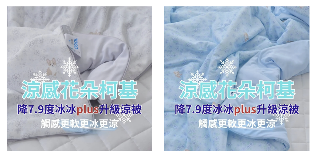 🇰🇷韓國兒童被/成人被 - 涼感花朵柯基