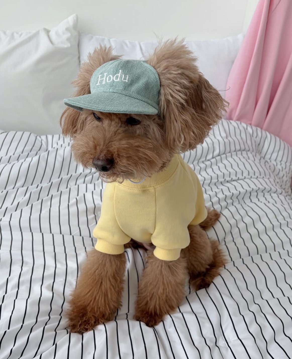 韓國🇰🇷 Confetti Naming Ball Cap