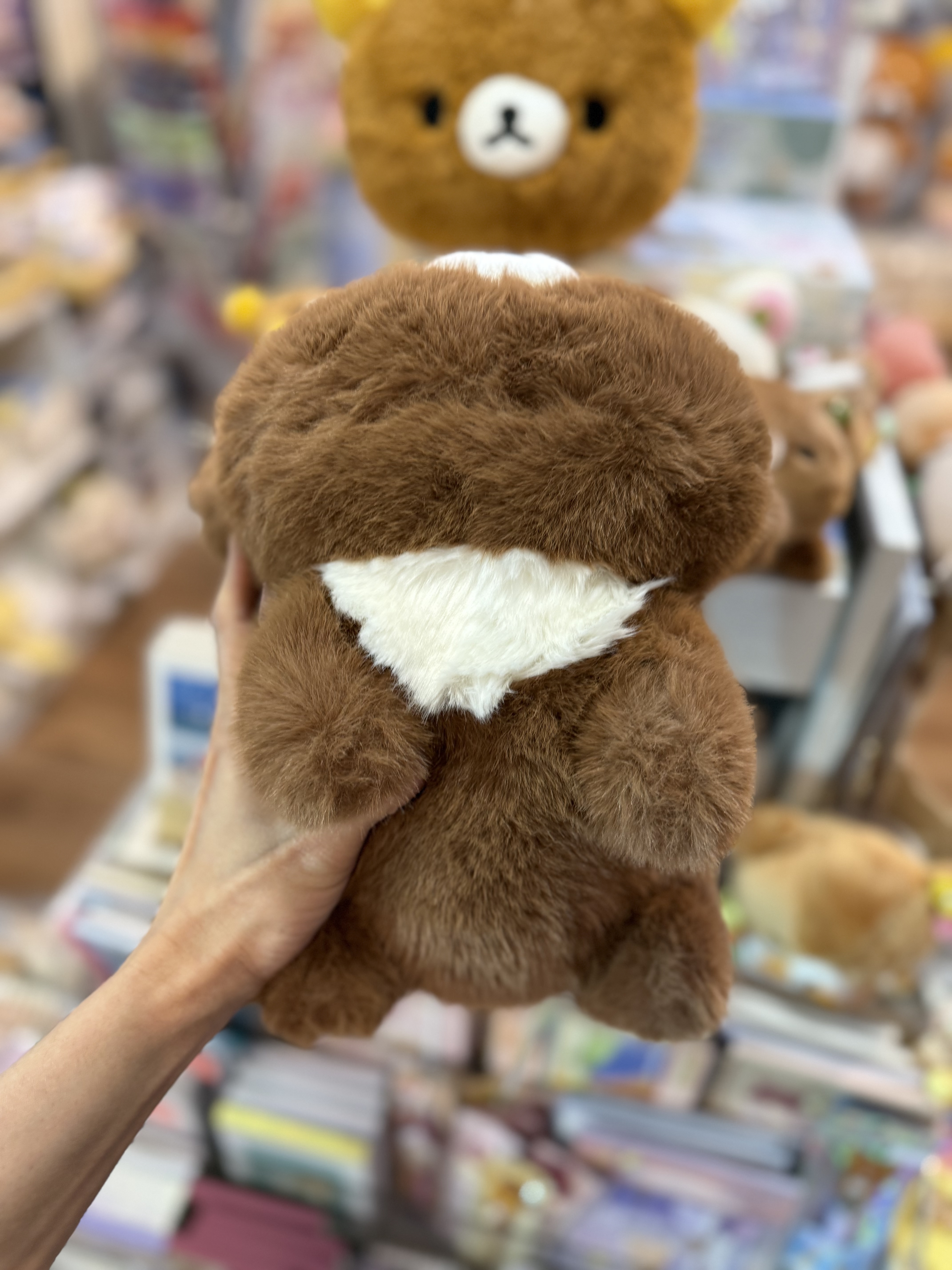 《現貨》全新小熊10週年紀念四葉草系列趴地公仔（M size)