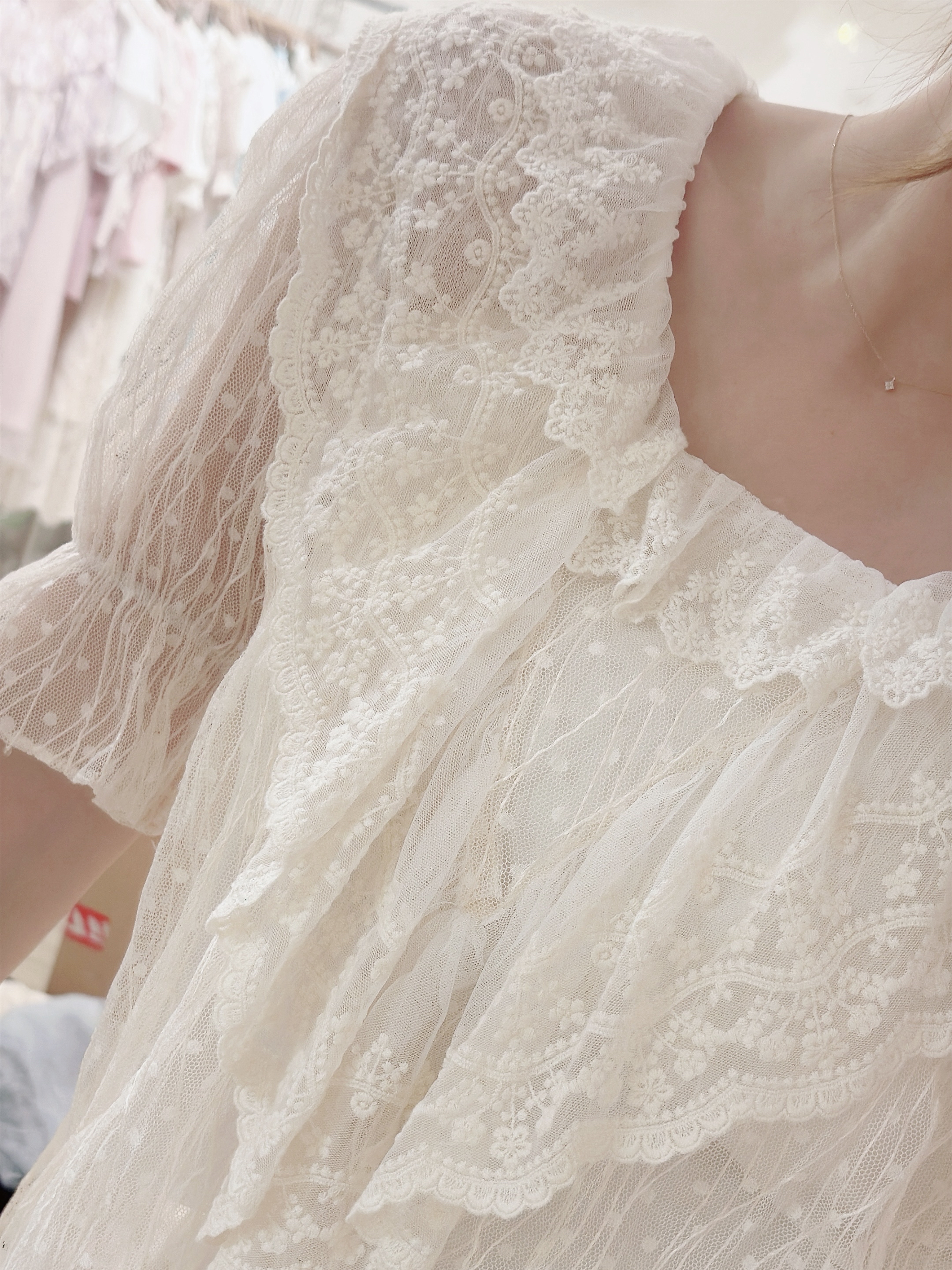 The Delicate Lace V Ruffle Top