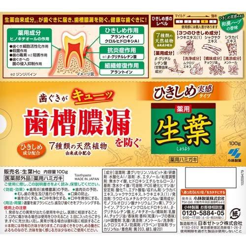 小林製藥-小林製藥生葉牙齦緊緻牙膏 100g【平行進口】