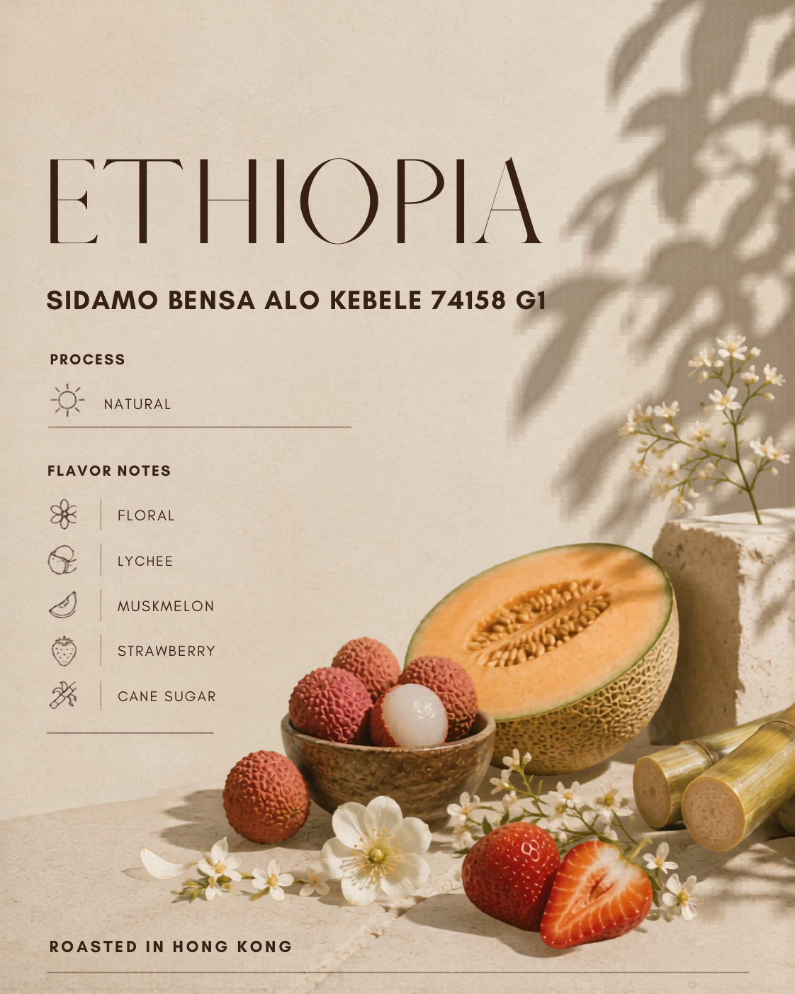 【衣索比亞Ethiopia】Sidamo Bensa ALO Kebele 74158 G1