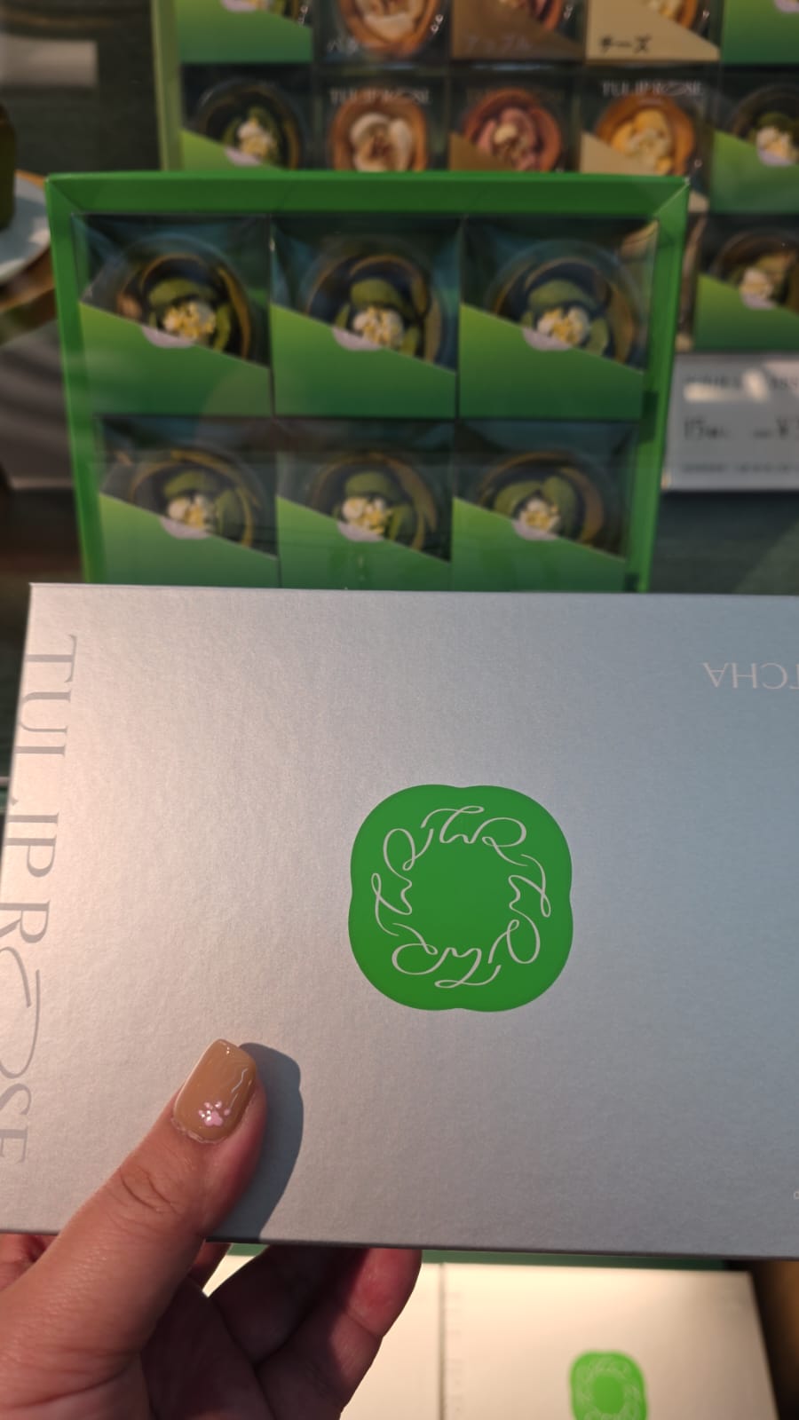 tulip rose matcha 6入