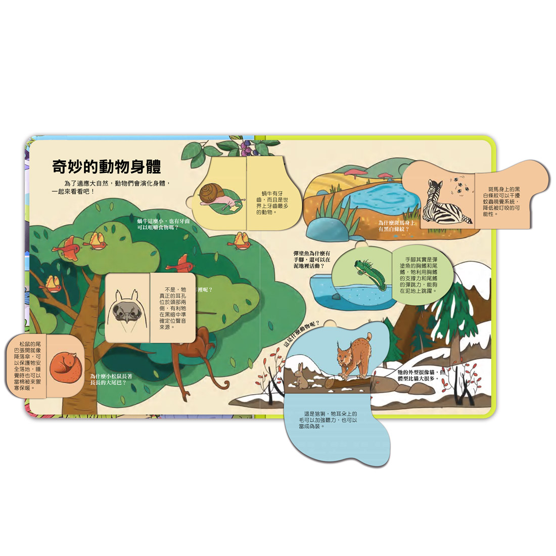 📚預訂 台灣直送📚百問百答圖解翻翻書-揭祕動物