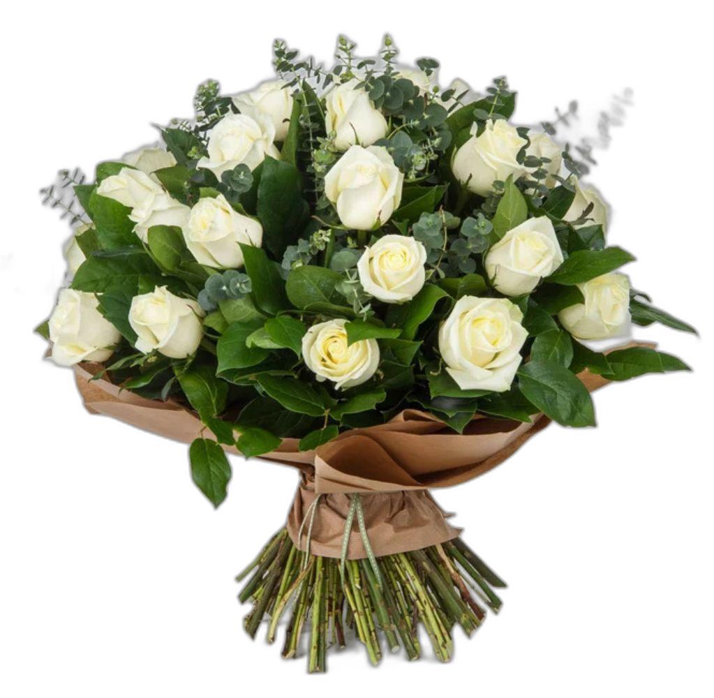 優雅白色玫瑰花束 - 20朵優質玫瑰與尤加利葉