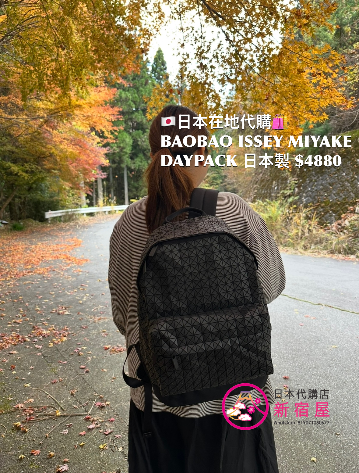 BAOBAO ISSEY MIYAKE DAYPACK