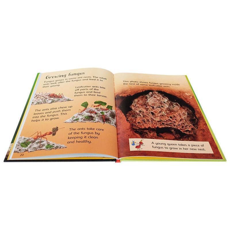 Usborne Beginners Nature 初探自然 兒童科普讀物｜10 books｜英文科普知識繪本